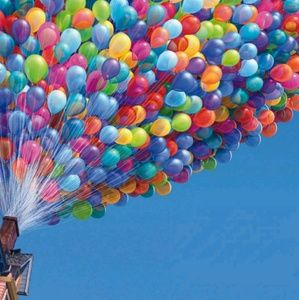 Meet your Posher, Kailoni